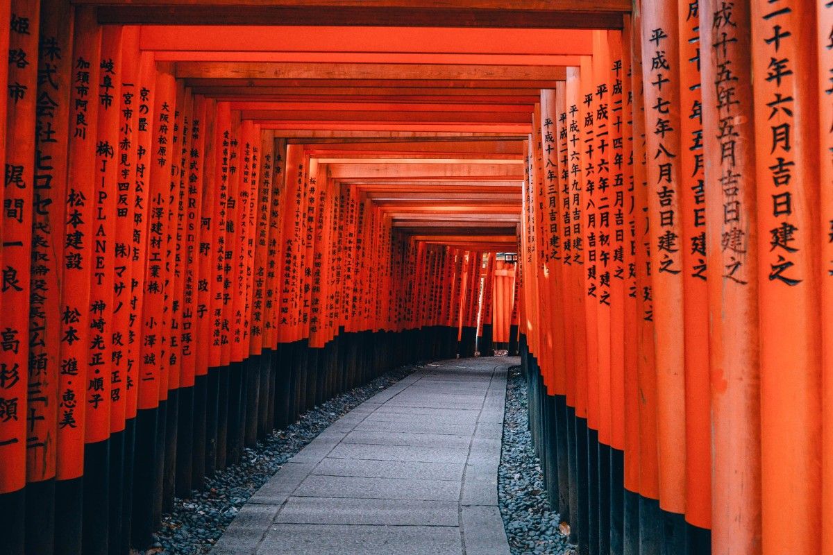 Fuente: Unsplash
