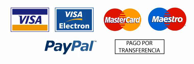 Logotipos de Visa, Mastercard, Maestro y PayPal junto a opción de pago por transferencia.