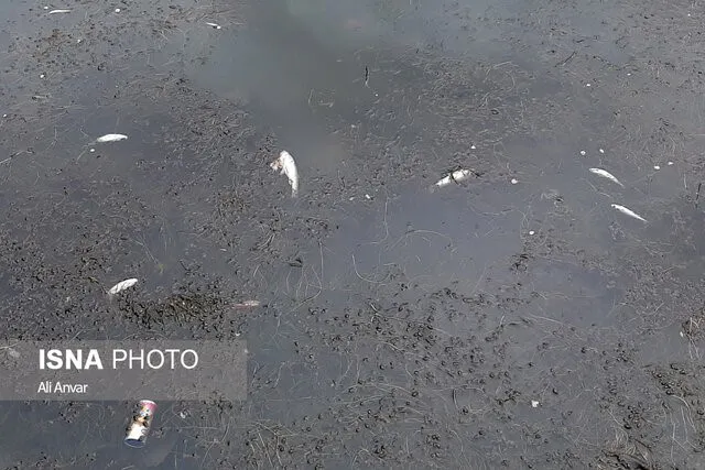 Estado del río Baligluchai en Ardabil, otro de los afectados por la contaminación (Isna, 2023)