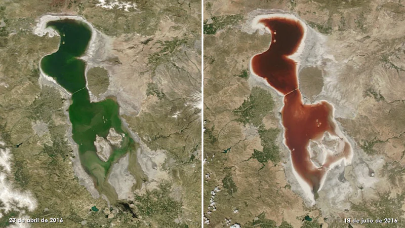 LAGO URMIA -IRÁN.png