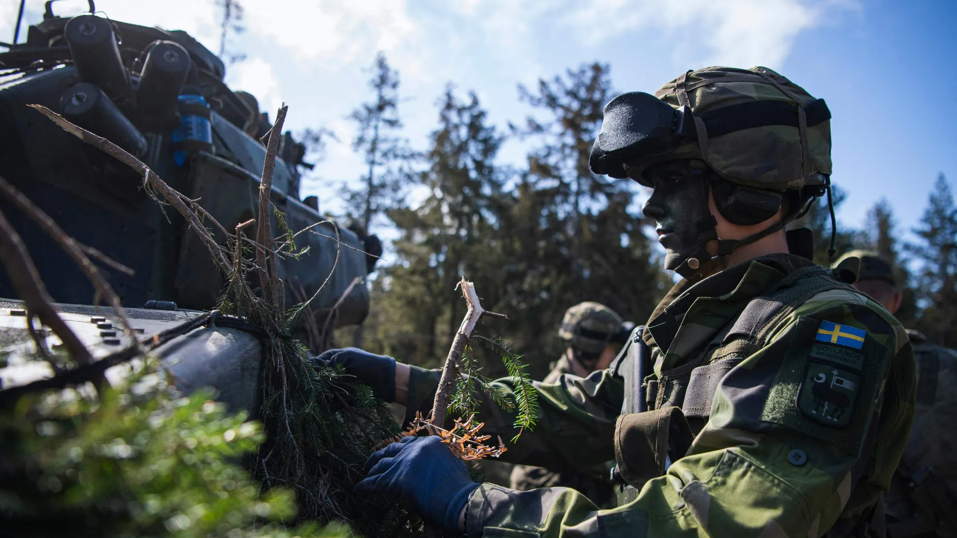 Soldados del Regimiento P18 Gotland del Ejército de Suecia camuflan vehículos blindados.