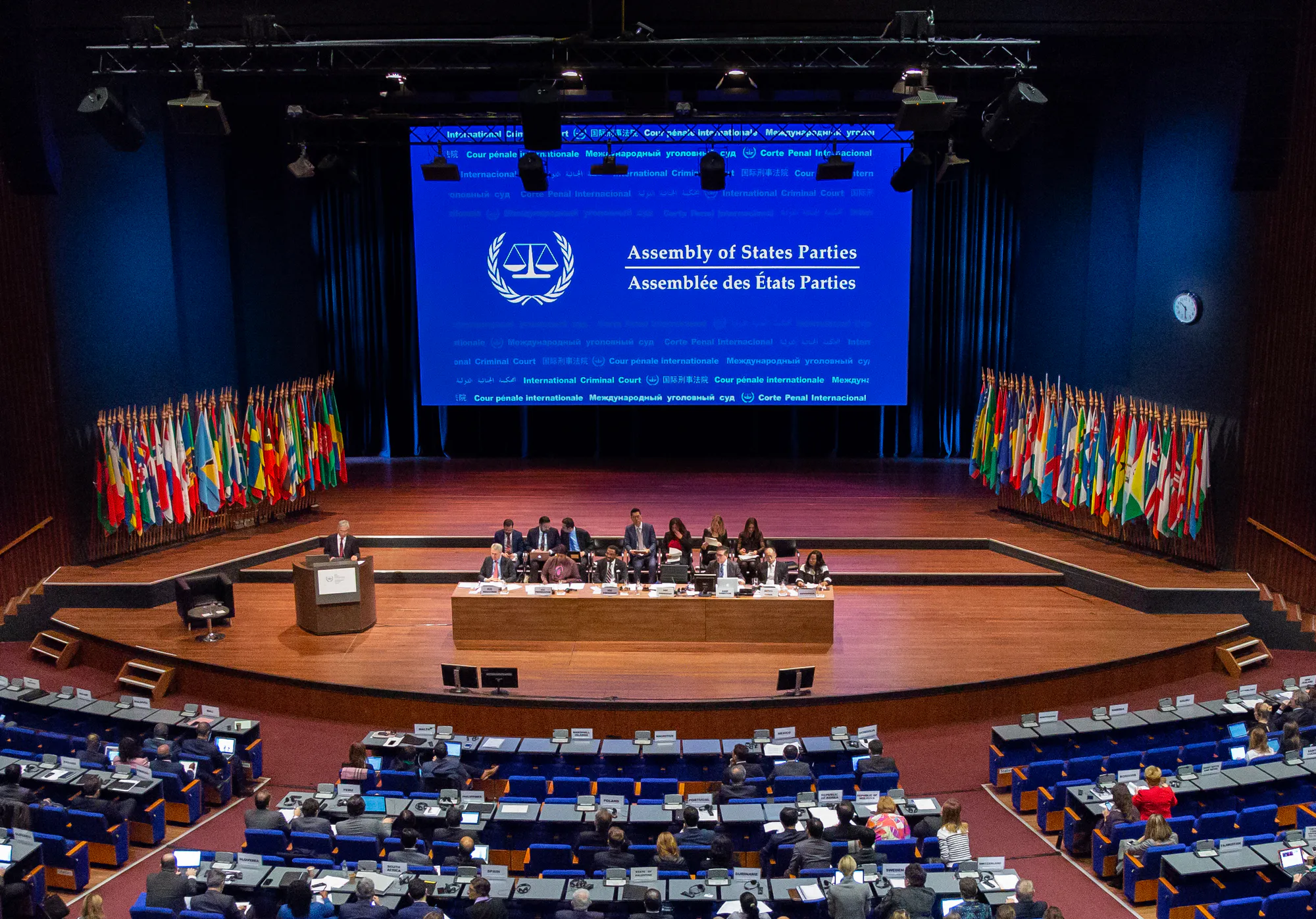 La  Asamblea de Estados Partes  ("la Asamblea") es el órgano legislativo y de supervisión de la gestión de la Corte y está integrada por representantes de los Estados que han ratificado el Estatuto de Roma o se han adherido a él.