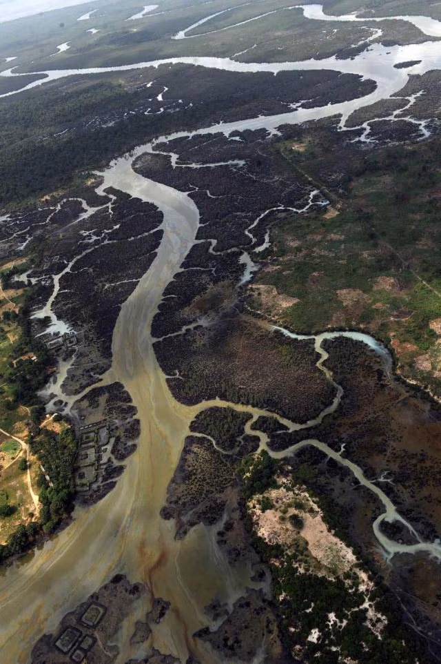 África y el ecologismo sagrado: Por qué la tradición cuida mejor la selva que Occidente